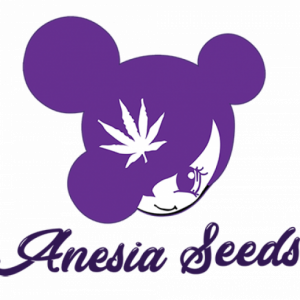 Anesia seeds